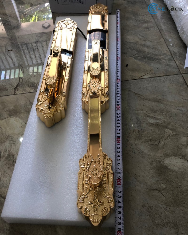 Khóa cửa vân tay cổ điển Vinh - Nghệ An